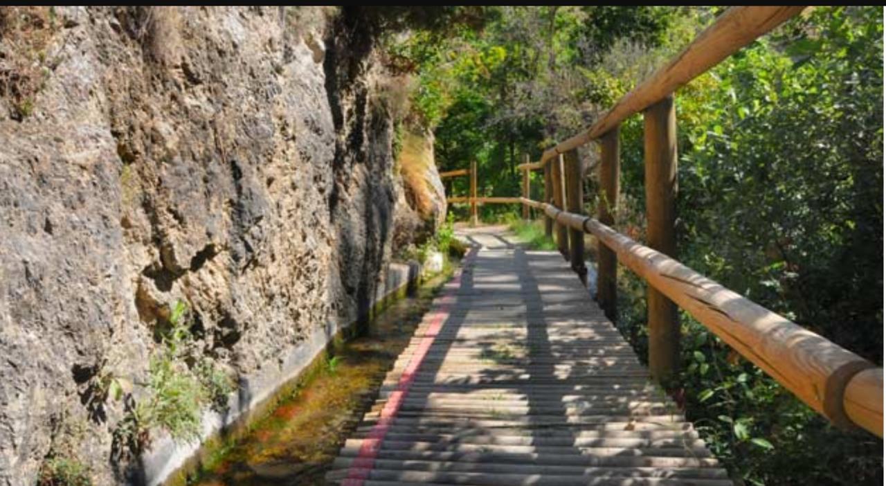 Camping Ruta Del Purche Monachil Kültér fotó